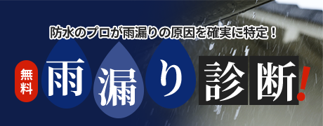 雨漏り診断