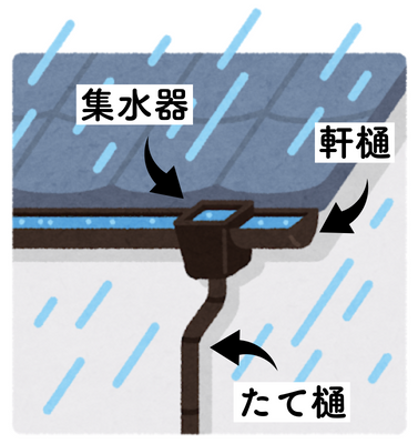 雨樋