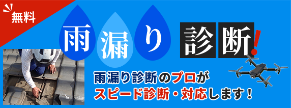 雨漏り診断